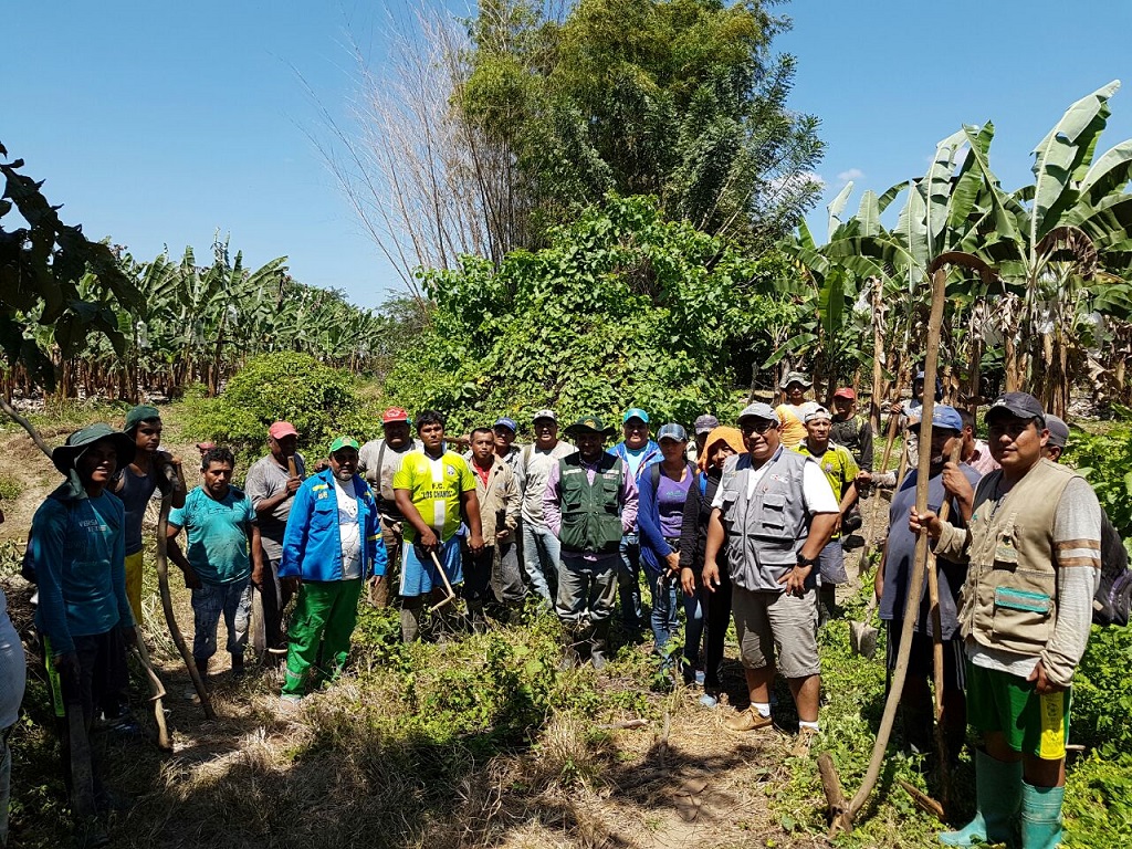 Aseguran agua para riego de 4600 hectáreas de cultivo en Tumbes - El Regional