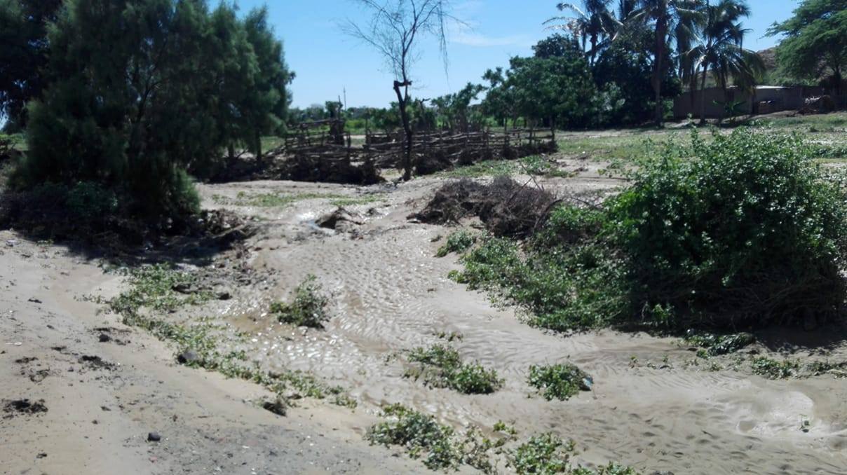 Distrito de Vichayal en la provincia de Paita sufre consecuencia de ... - El Regional (blog)