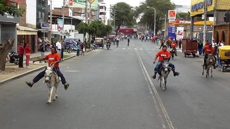 carrera burros
