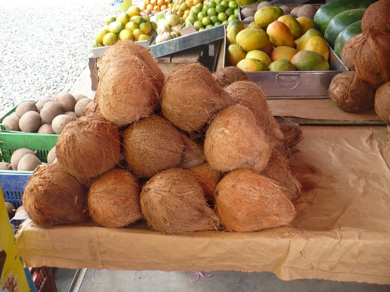 cocos-sullana