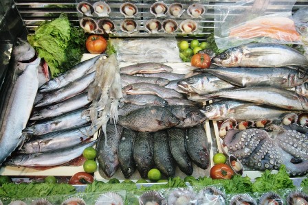 pesca expoalimentaria2
