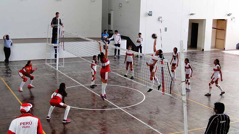 voleibol