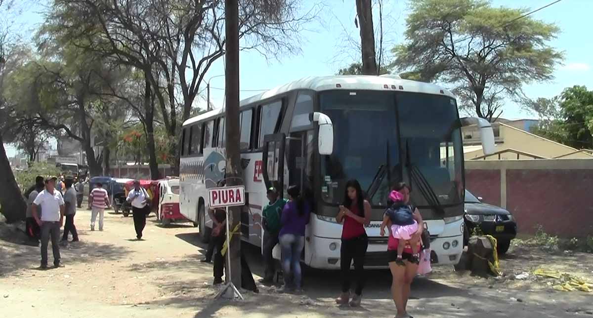 buses eppo