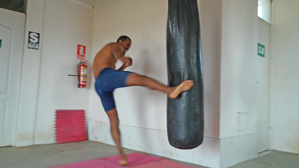 daniel garro1