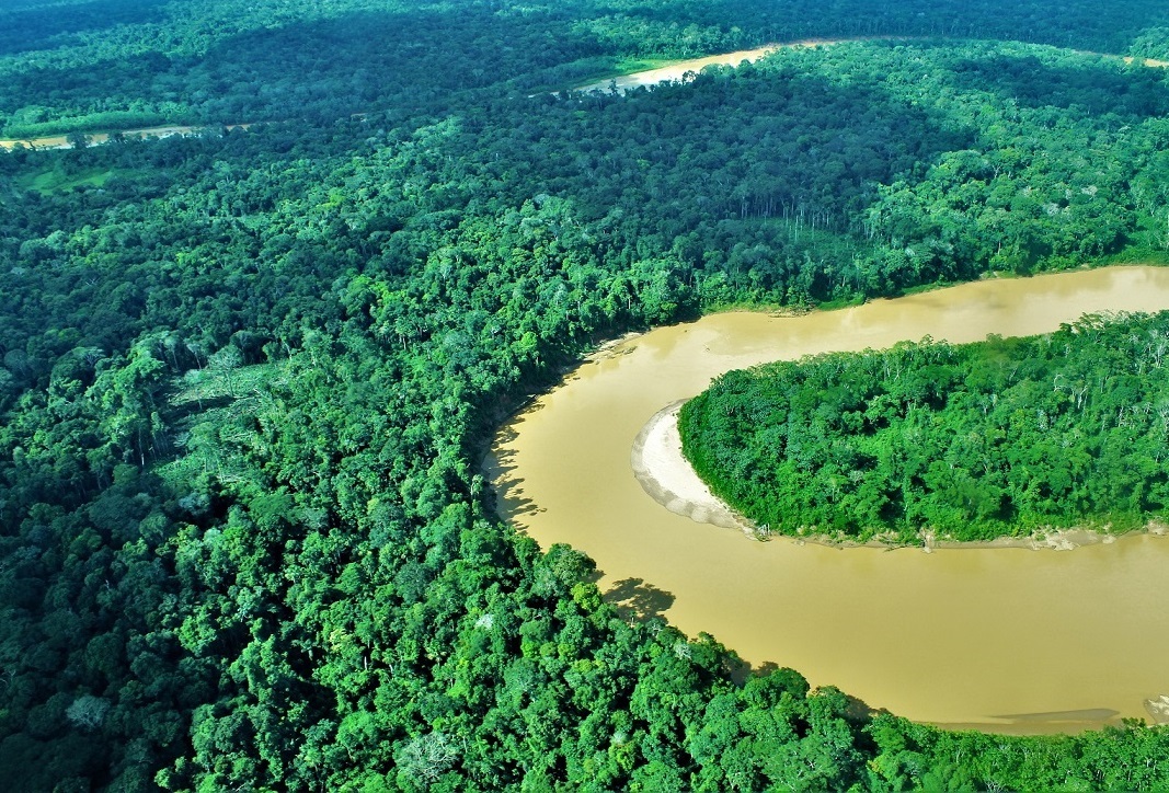 Bosques Amazonicos01
