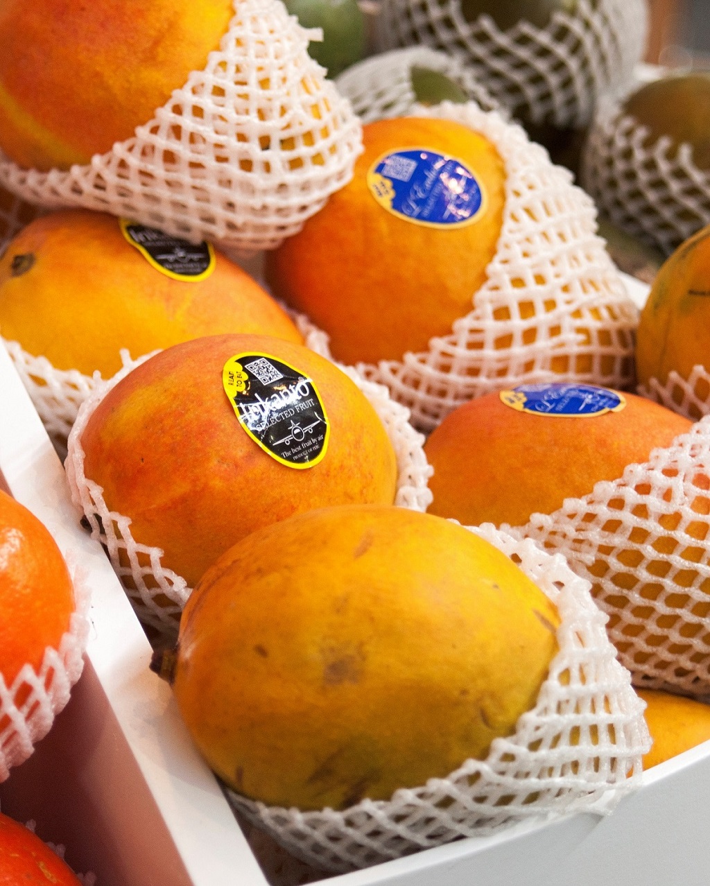 Mangos Exportacion