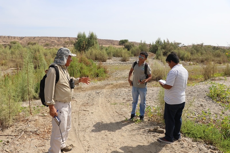 Bosque Parinas 02