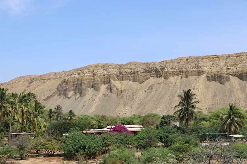 Bosque Parinas 03