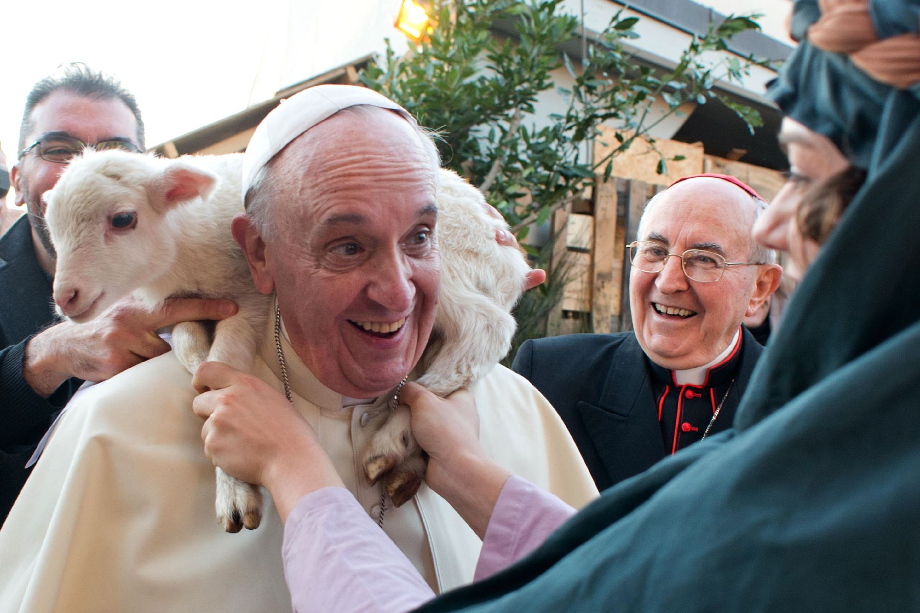 Papa Francisco cumple 82 años de edad