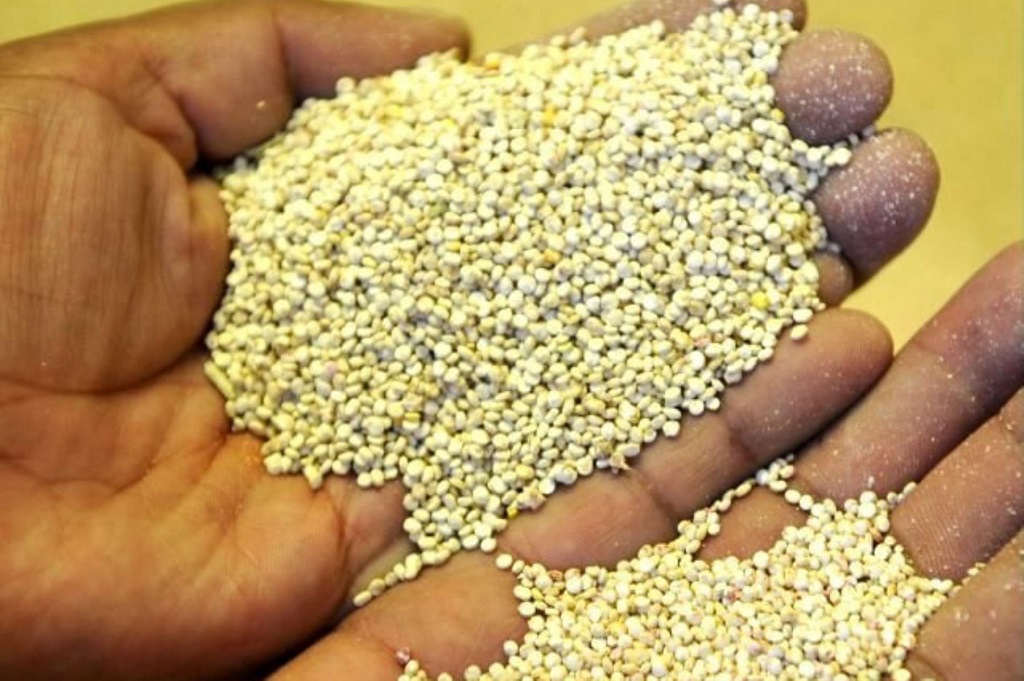 Quinua el grano de oro | Fotografía Red