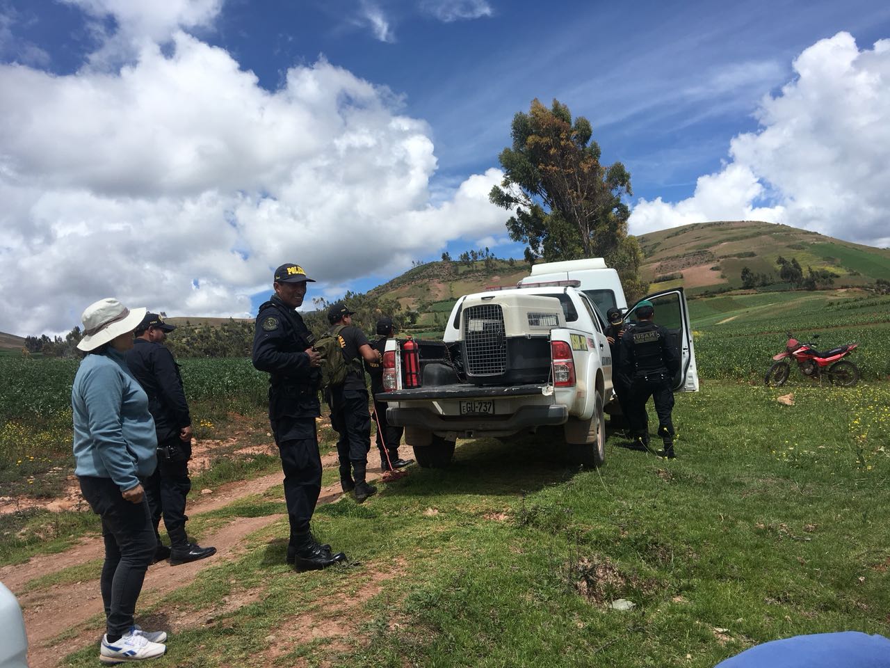 Busqueda Domingo 1102