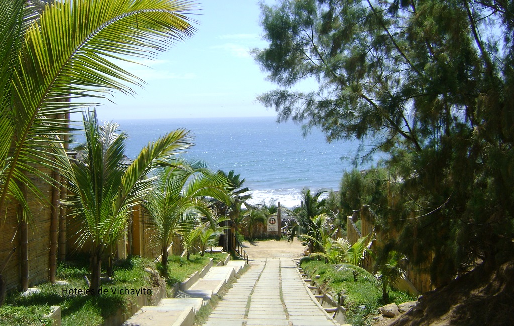 Hoteles de Vichayito