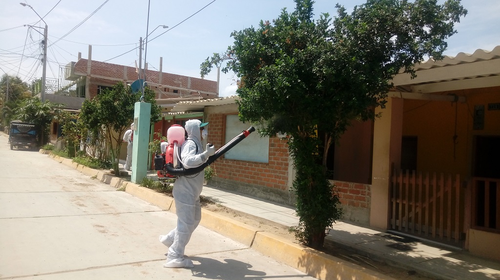 Senasa limon01