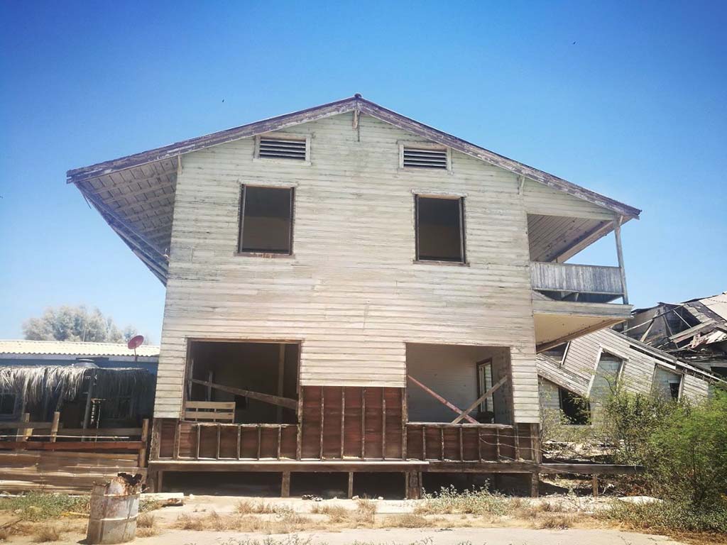 lobitos antiguo 1