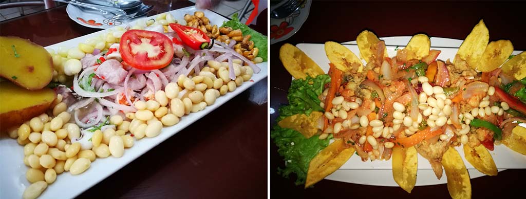 lobitos comida