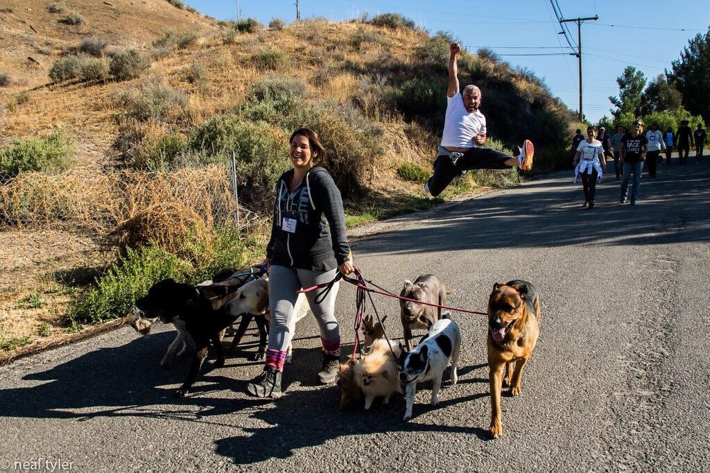Dogbalance2