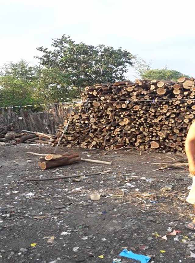 madera palo santo
