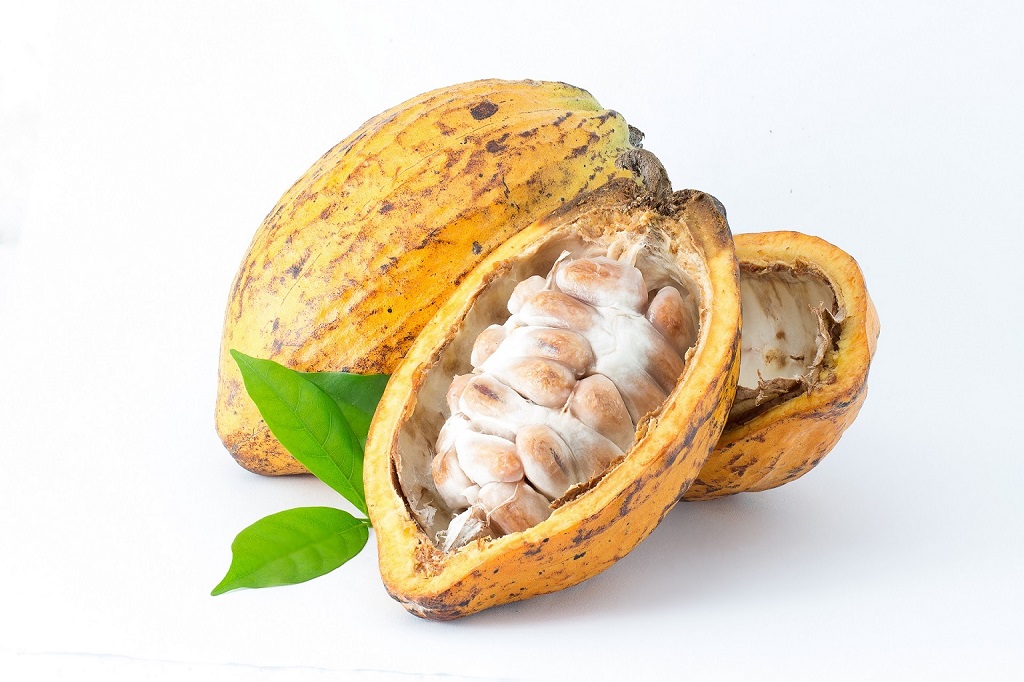 Cacao Blanco producto a promover