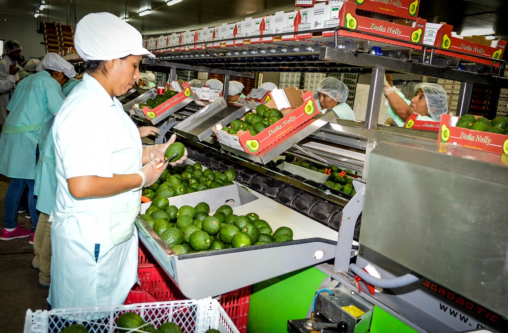 Disminución de precios en 0,39 en ciudad de Piura | Fotografía de archivo