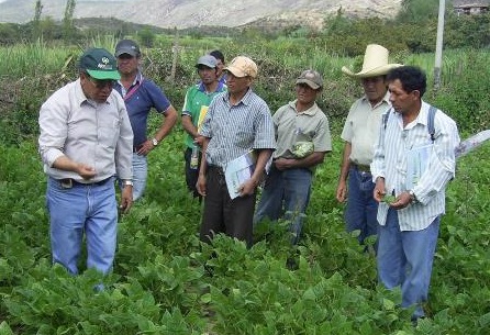 Agricultores campo