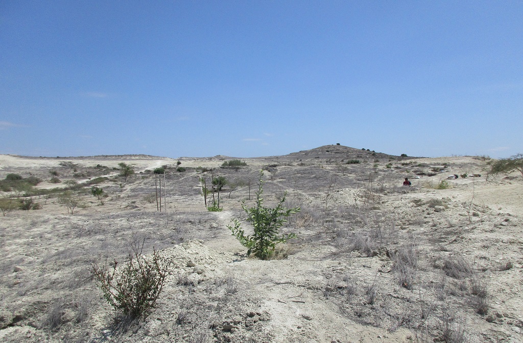 Desertificacion Casagrande