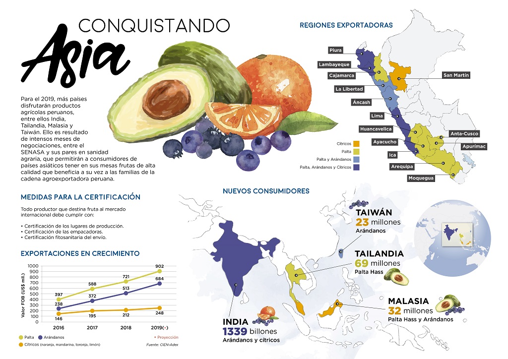Infografia de exportaciones de arandanos