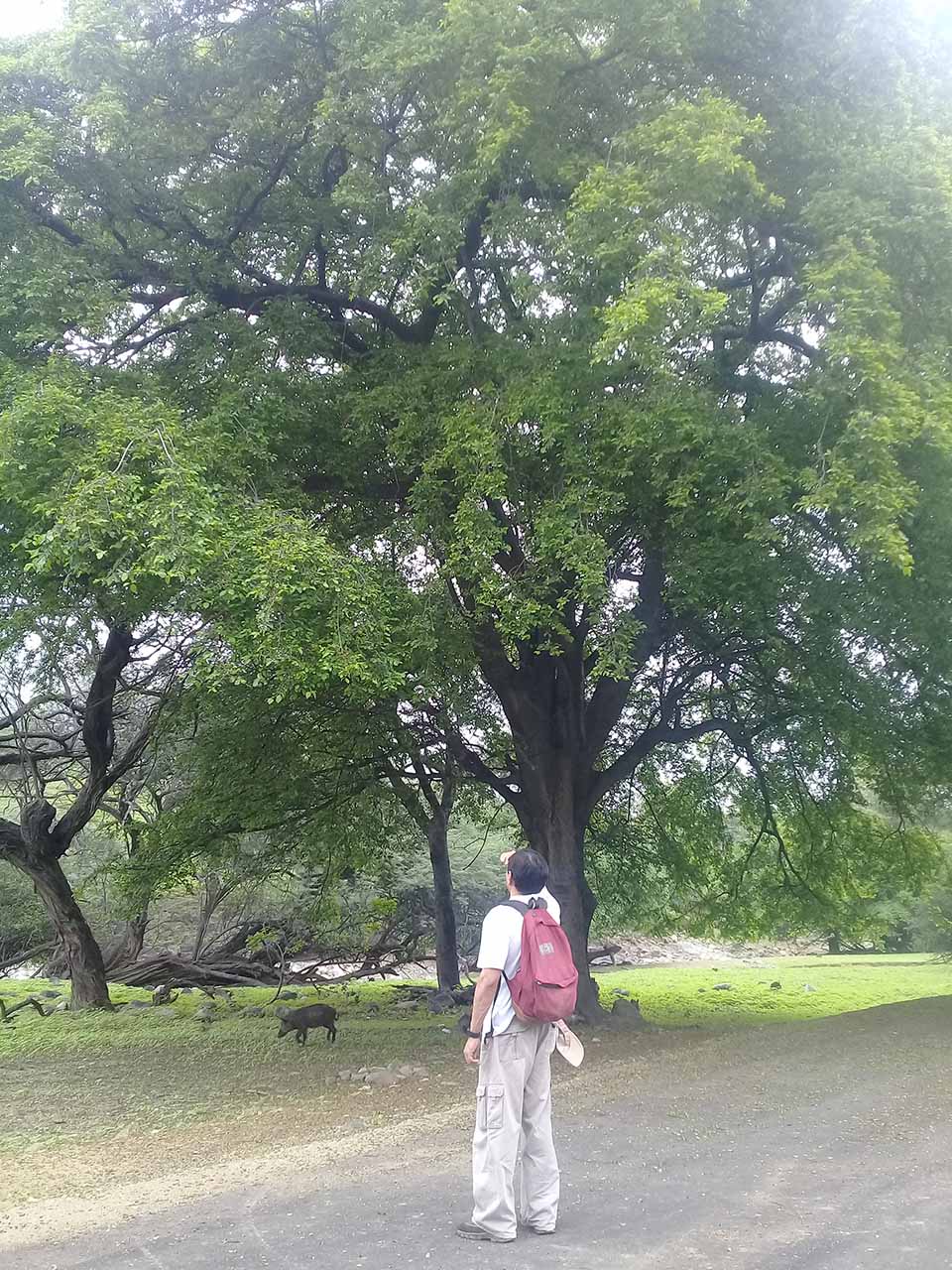 turismo es tambogrande 3