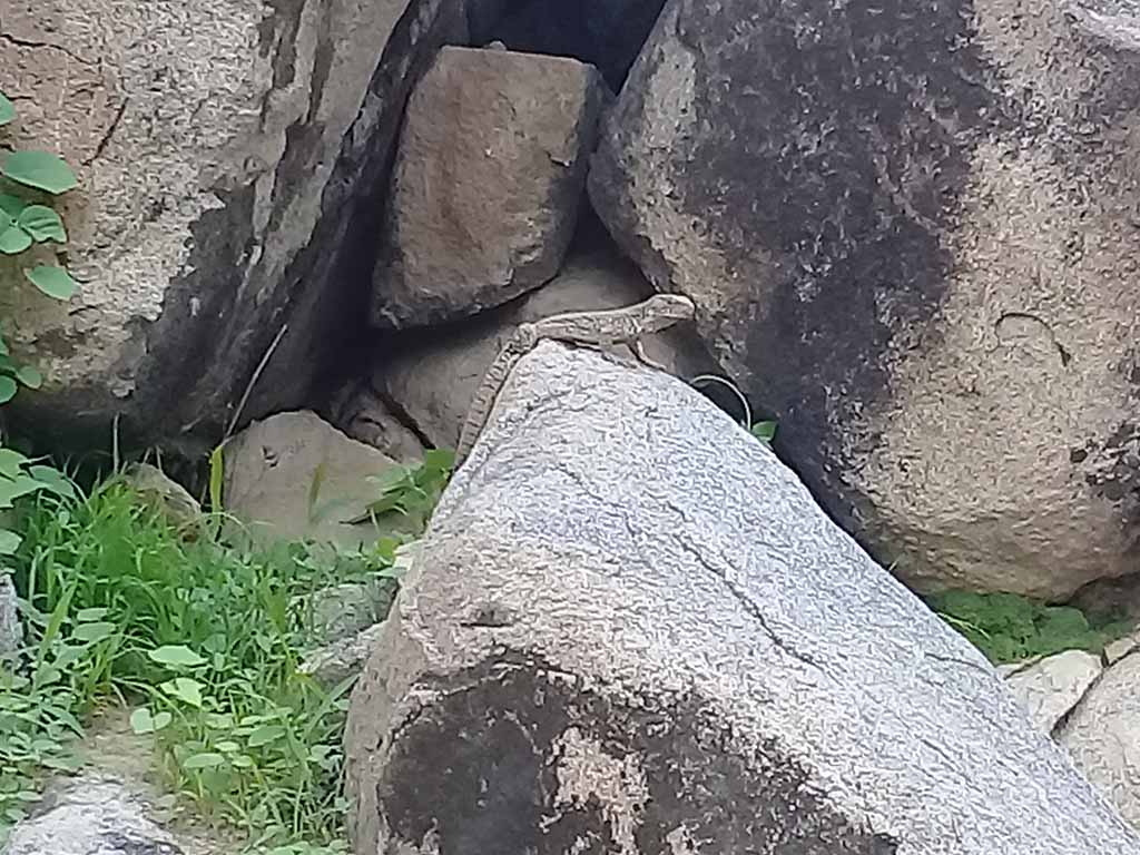 turismo es tambogrande 4