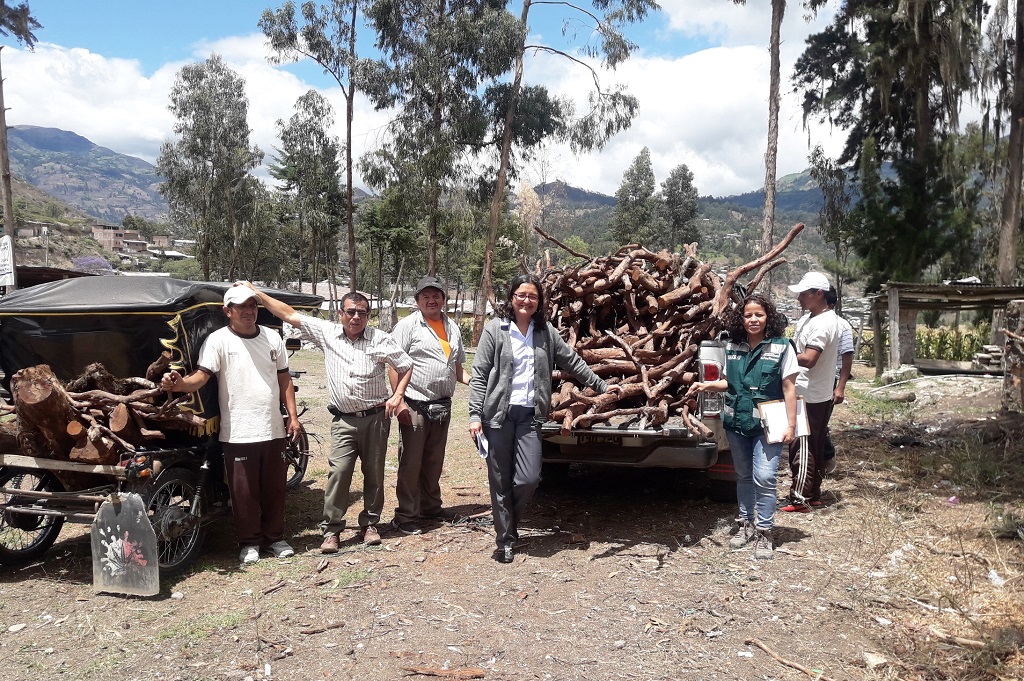 Huancabamba: entregan madera decomisada para construcción de mobiliario escolar - El Regional