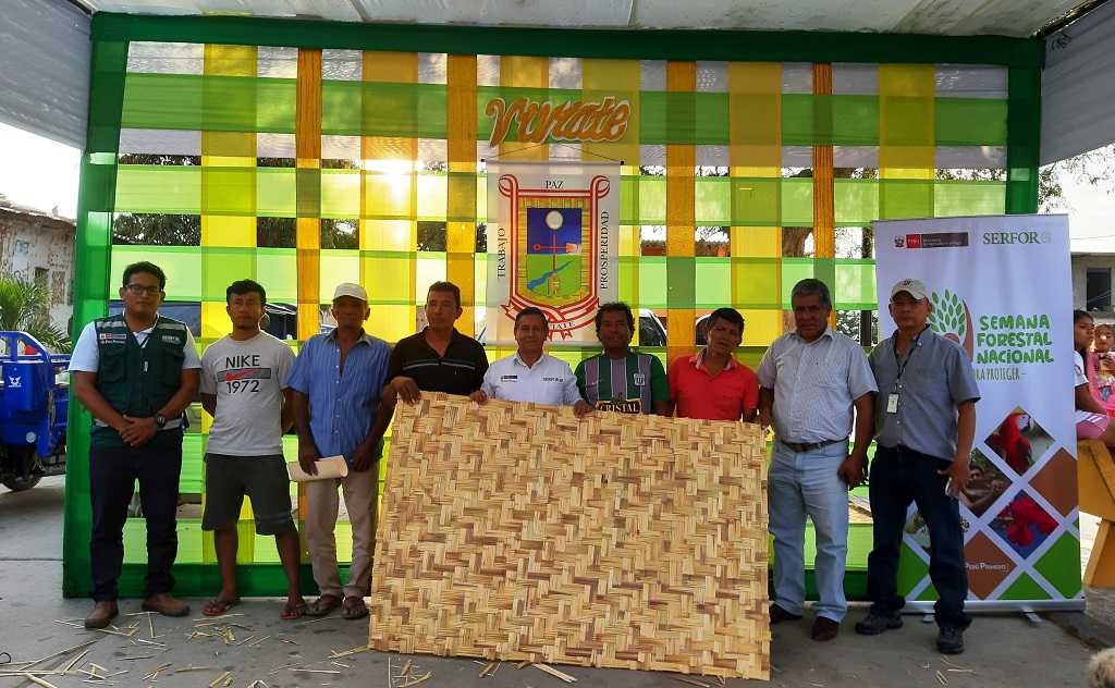 Paita: celebran Semana Forestal con concurso del 'Mejor tejedor de esteras 2019' en Viviate - El Regional