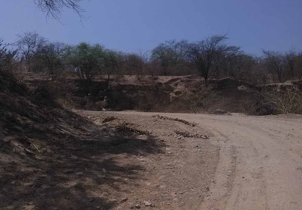 Sullana: activista reitera la existencia de evidencia arqueológica en La Capilla - El Regional