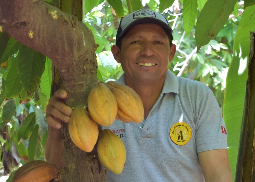 Piura: el cacao, potencialidades productivas y oportunidades de industrialización