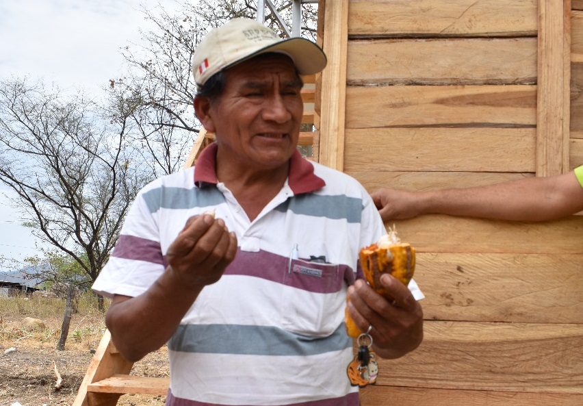Piura: el cacao, potencialidades productivas y oportunidades de industrialización