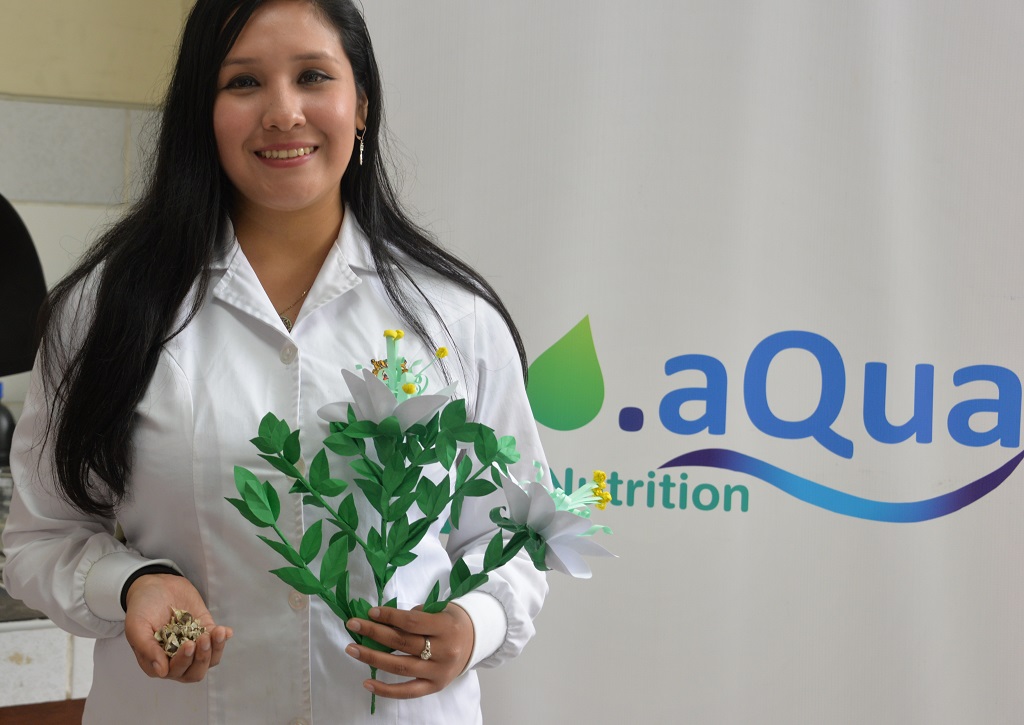 Moringa 2