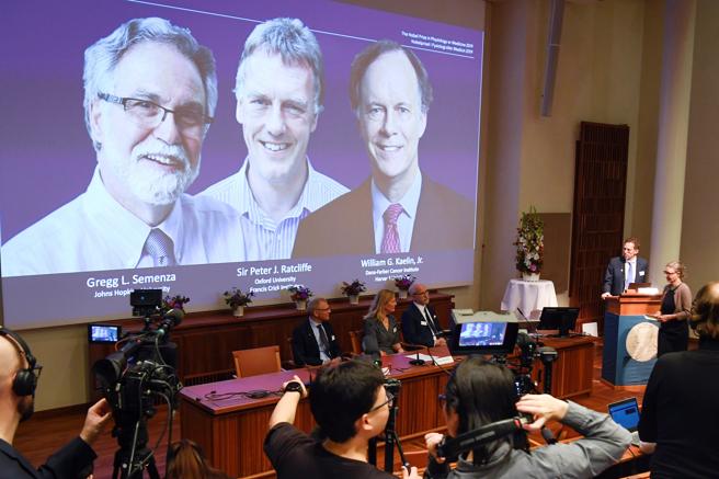 Premio Nobel de Medicina 2019