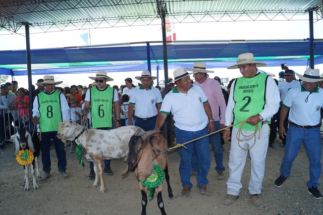 Potencialidades del ganado caprino resaltaron en Expo Feria de Comunidad de Cañas