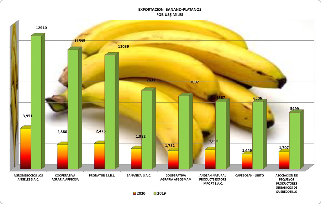 Exportacion bananos