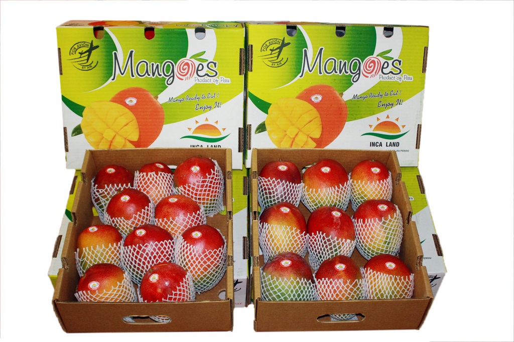 Mangos exportaciones