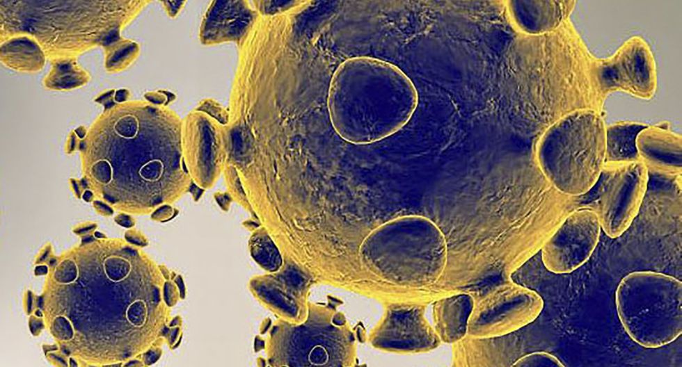 coronavirus 4