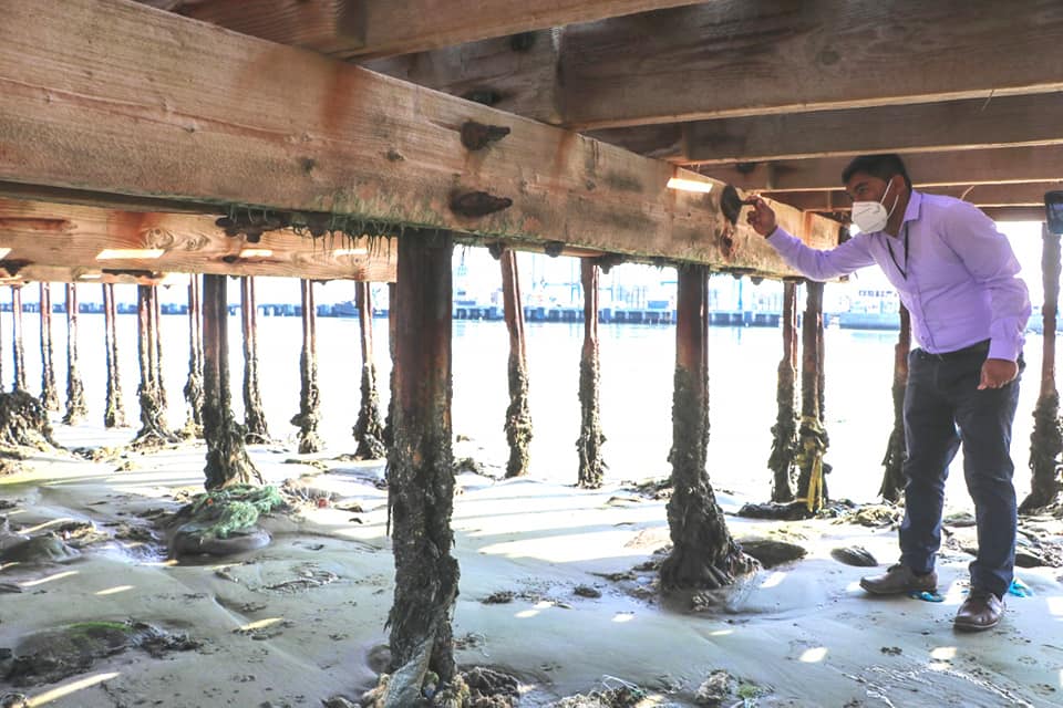 muelle el toril 1