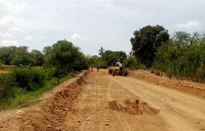Via Golondrina Tangarara 3