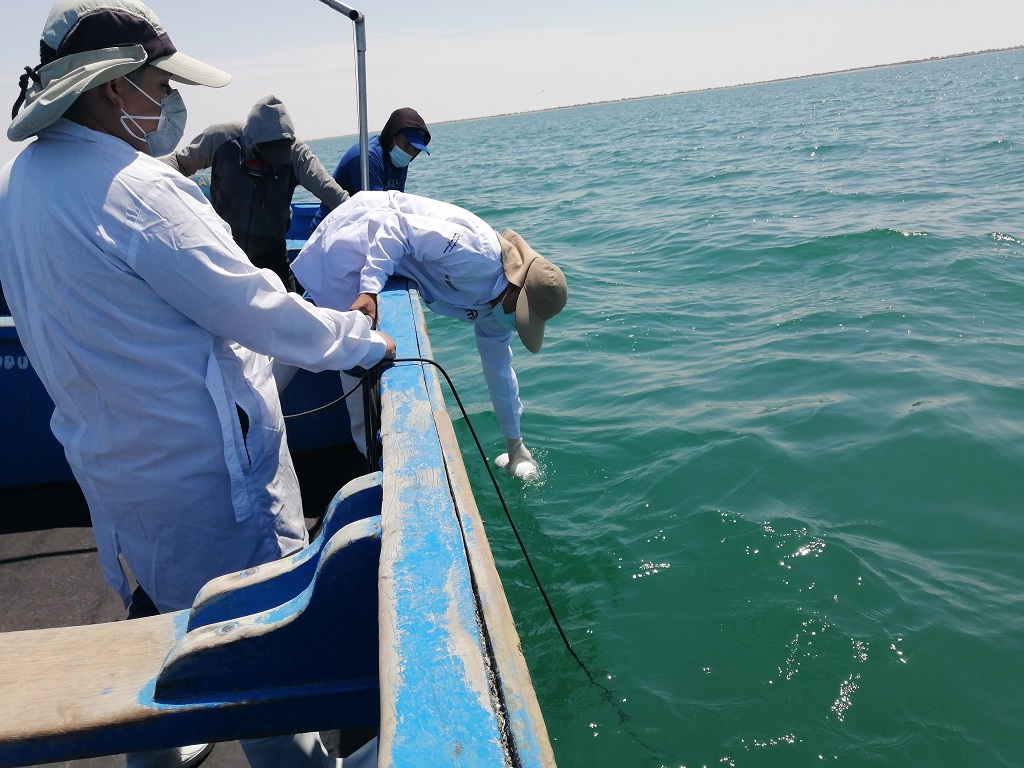 Bahia de Sechura 02