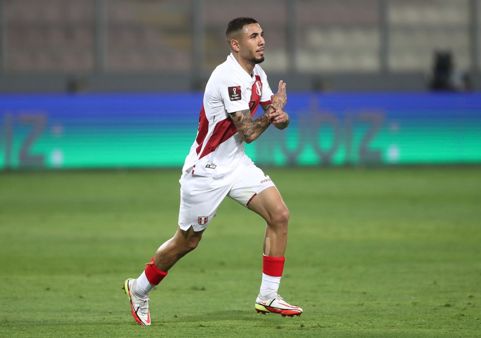 sergio 6