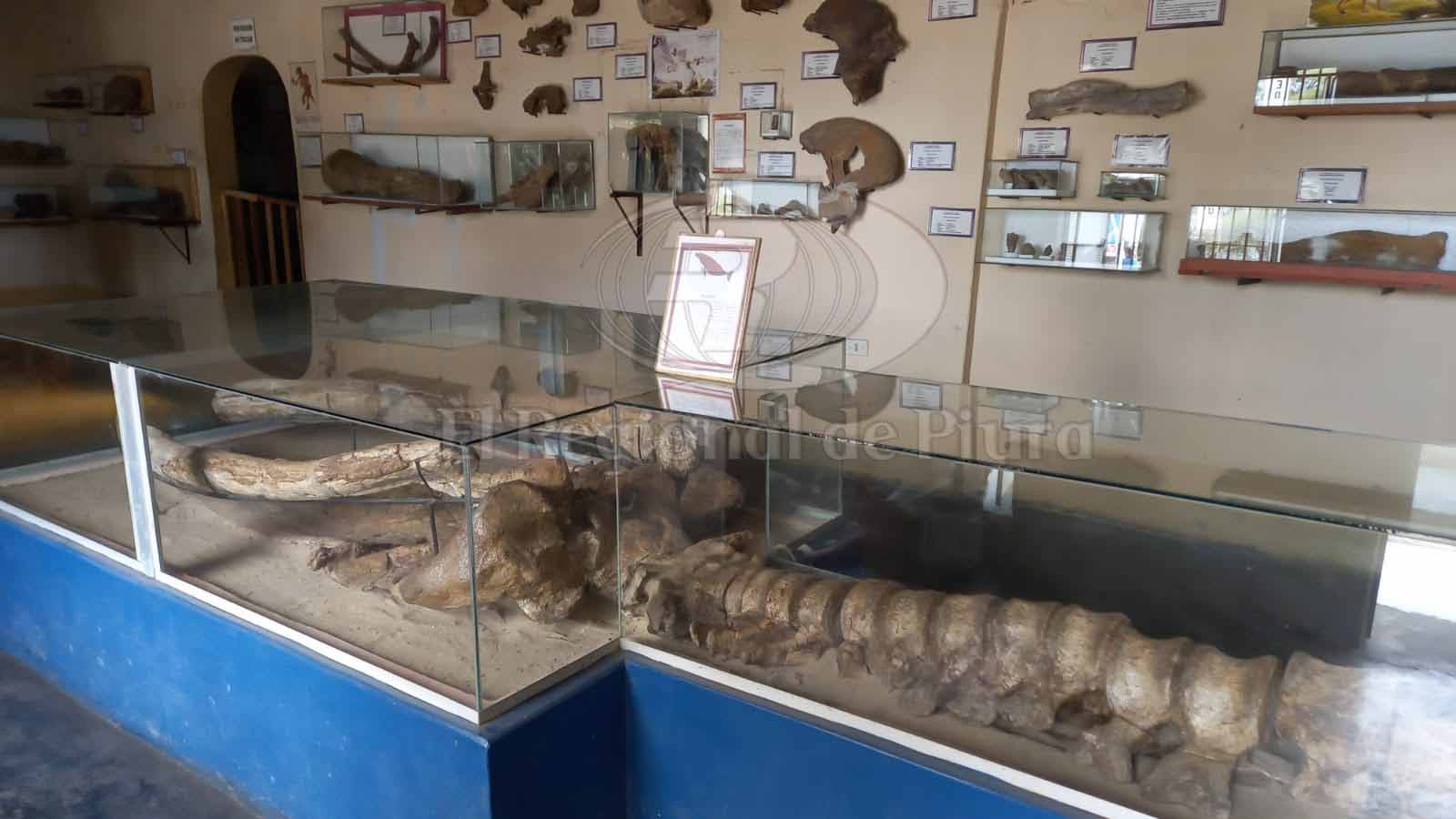 Casa Museo De La Huaca 2