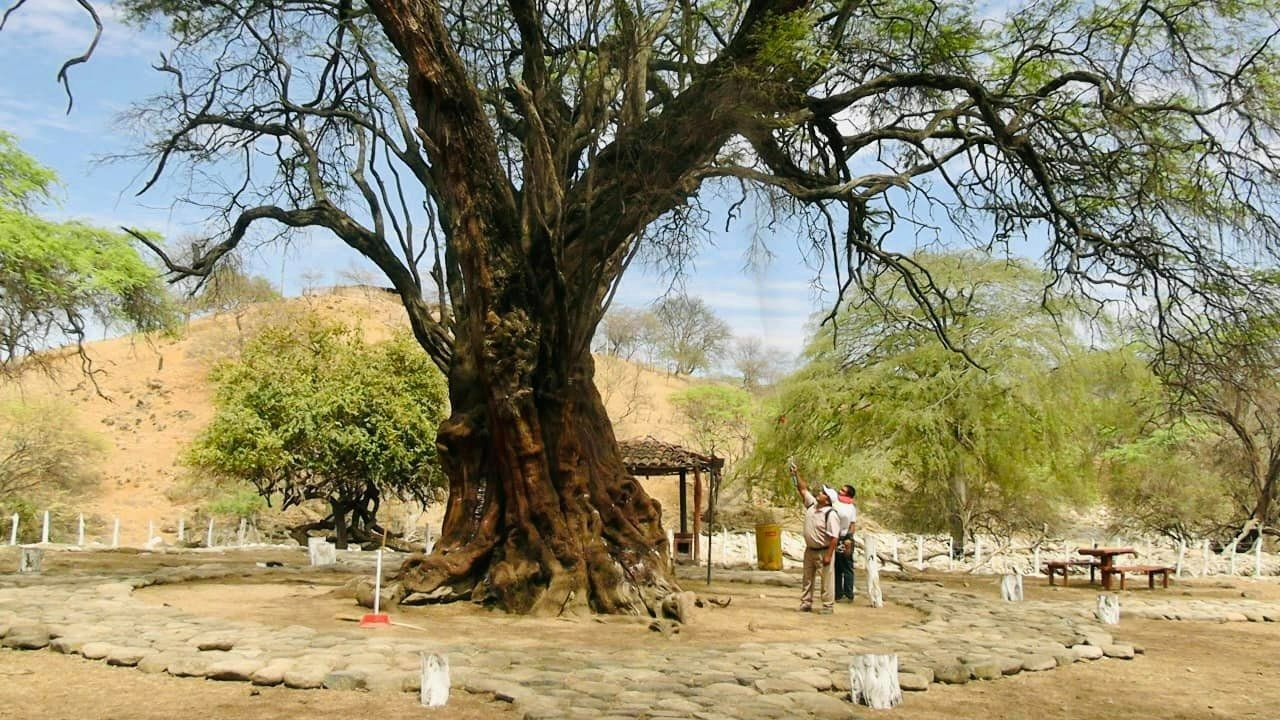 Tambogrande turismo 02