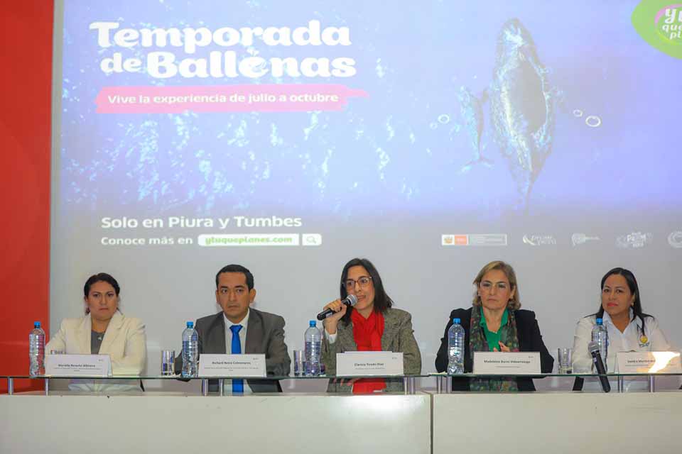 Lanzamiento temporada de ballenas1