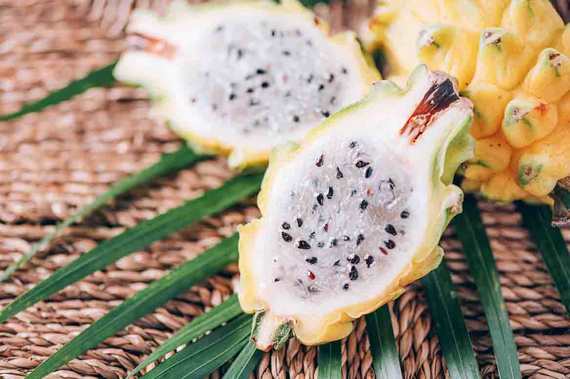 pitahaya nueva