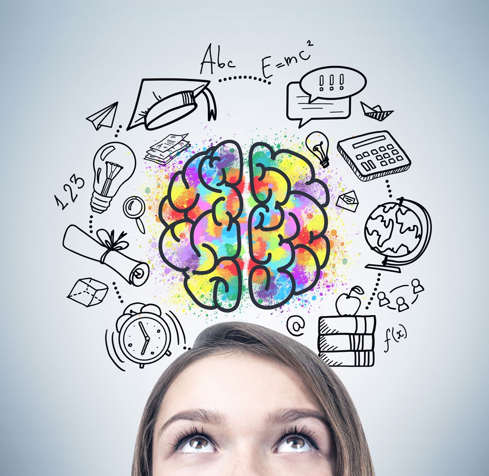 Cerebro importancia